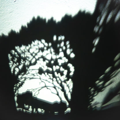 GAME - Limited Edition Laser Cut Lantern