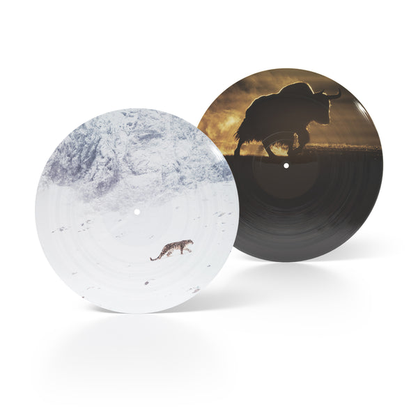 Nick Cave & Warren Ellis - La Panthère Des Neiges OST [Picture Disc Vinyl]