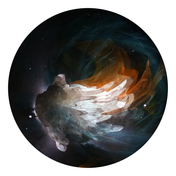 The Fauns - Lights [LP]